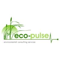 Eco: Un simulateur écologique palpitant pour les esprits curieux!